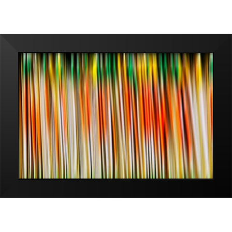 Undulate I Black Modern Wood Framed Art Print by Nall, Skip