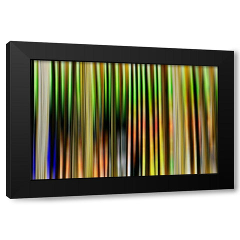 Undulate II Black Modern Wood Framed Art Print with Double Matting by Nall, Skip