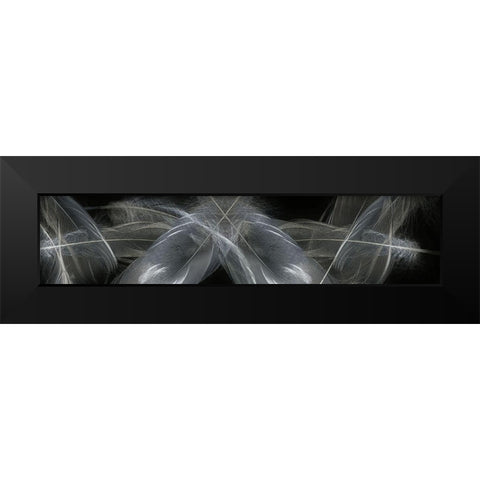 Feathers Black Modern Wood Framed Art Print by Stelfox, Norm