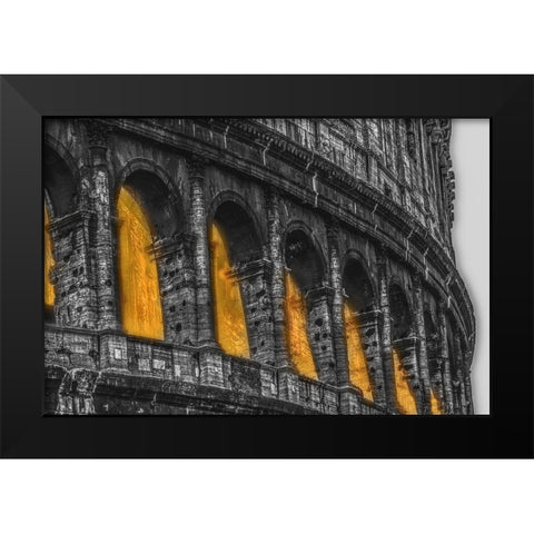 Colosseum II Black Modern Wood Framed Art Print by Stelfox, Norm