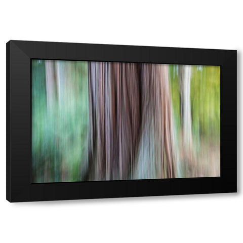 So Keen I Black Modern Wood Framed Art Print with Double Matting by Stelfox, Norm
