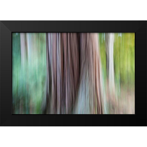 So Keen I Black Modern Wood Framed Art Print by Stelfox, Norm
