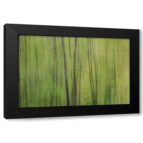 Green I Black Modern Wood Framed Art Print with Double Matting by Stelfox, Norm