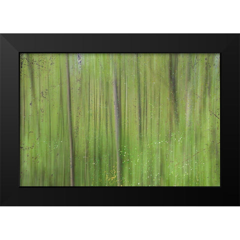 Green II Black Modern Wood Framed Art Print by Stelfox, Norm