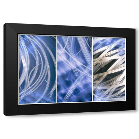 Flourish Black Modern Wood Framed Art Print by Stelfox, Norm