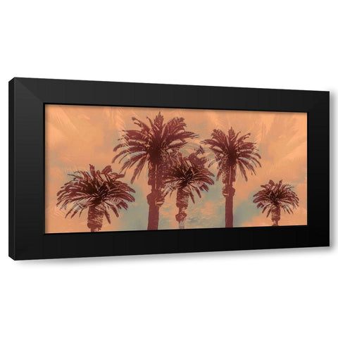 Palm Springs Black Modern Wood Framed Art Print with Double Matting by Stelfox, Norm