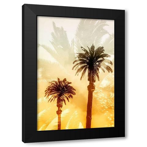 Palm Dreams  Black Modern Wood Framed Art Print by Stelfox, Norm
