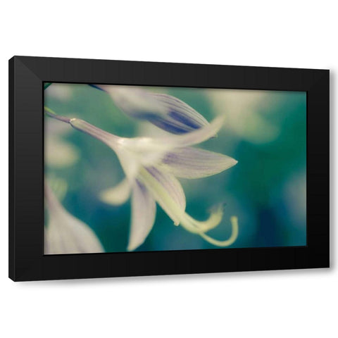 September Black Modern Wood Framed Art Print by Joy, Oliva