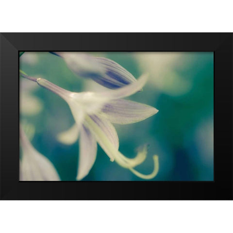 September Black Modern Wood Framed Art Print by Joy, Oliva