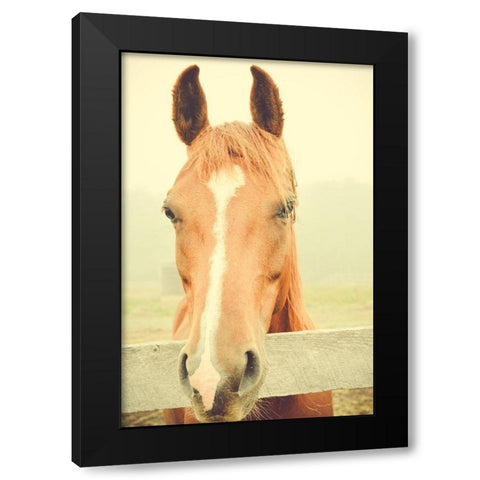 Willow Way Ranch Black Modern Wood Framed Art Print by Joy, Olivia