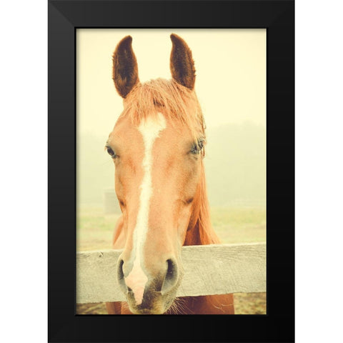 Willow Way Ranch Black Modern Wood Framed Art Print by Joy, Olivia