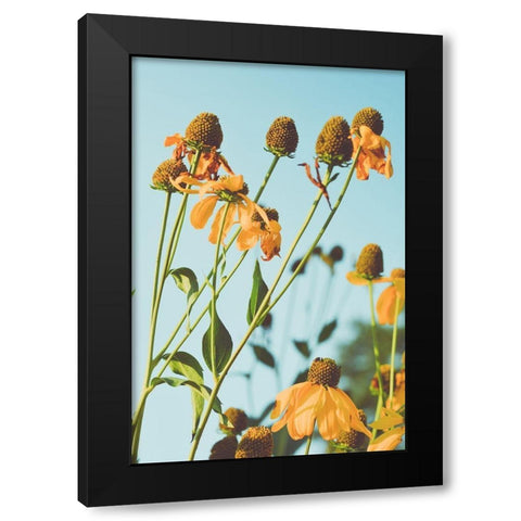 Reaching Sunlight  Black Modern Wood Framed Art Print by Joy, Olivia