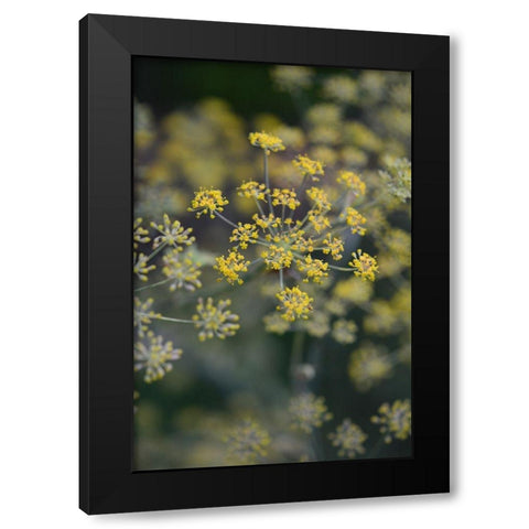 Little Yellow Black Modern Wood Framed Art Print with Double Matting by Joy, Olivia