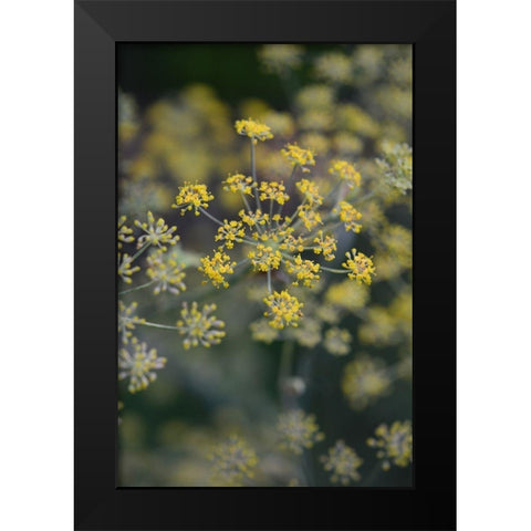 Little Yellow Black Modern Wood Framed Art Print by Joy, Olivia