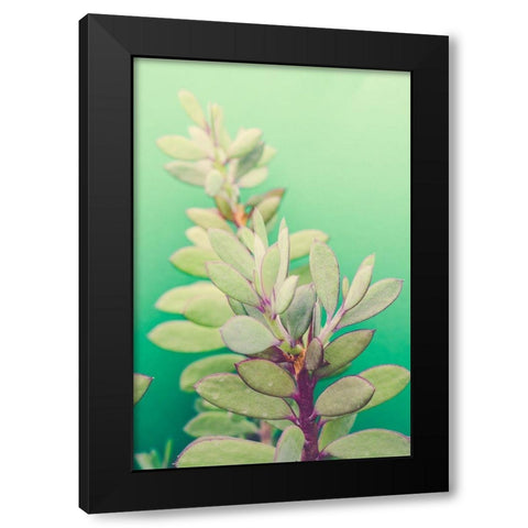 Green Blossom  Black Modern Wood Framed Art Print with Double Matting by Joy, Olivia