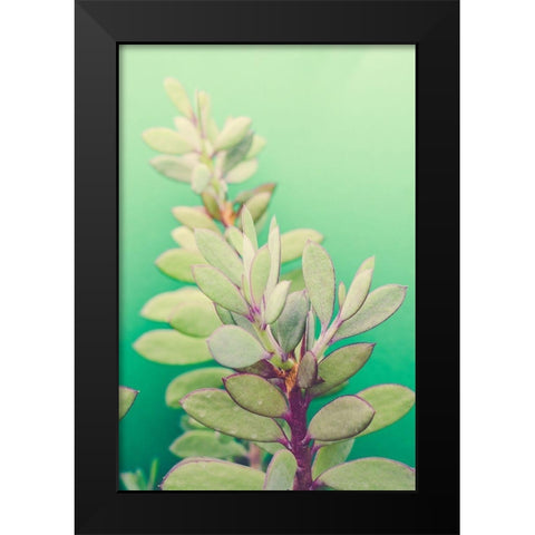 Green Blossom  Black Modern Wood Framed Art Print by Joy, Olivia