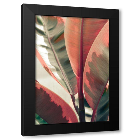 Peachy Black Modern Wood Framed Art Print with Double Matting by Joy, Olivia