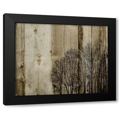 Three Barns Black Modern Wood Framed Art Print with Double Matting by Kirshner, Dmitry