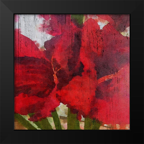 Blooming Love I Black Modern Wood Framed Art Print by Orlov, Irena