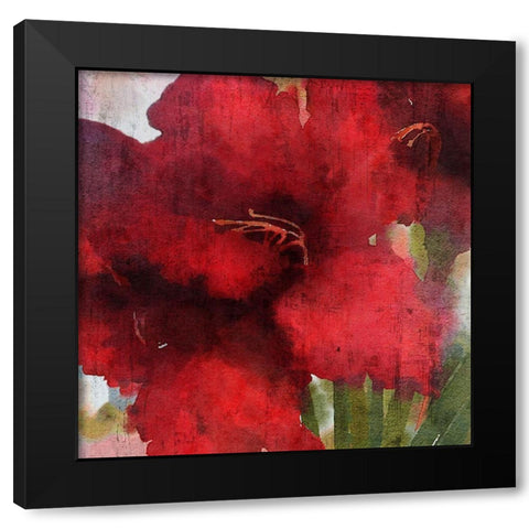 Blooming Love II Black Modern Wood Framed Art Print with Double Matting by Orlov, Irena