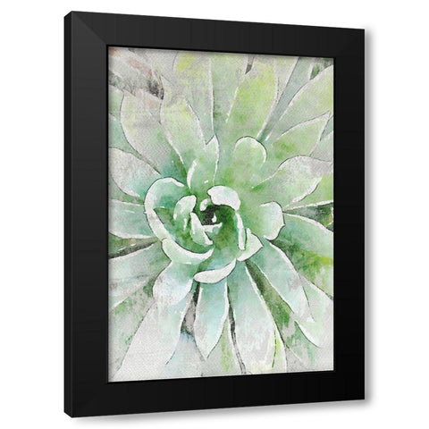 Rustic Succulent I  Black Modern Wood Framed Art Print with Double Matting by Orlov, Irena