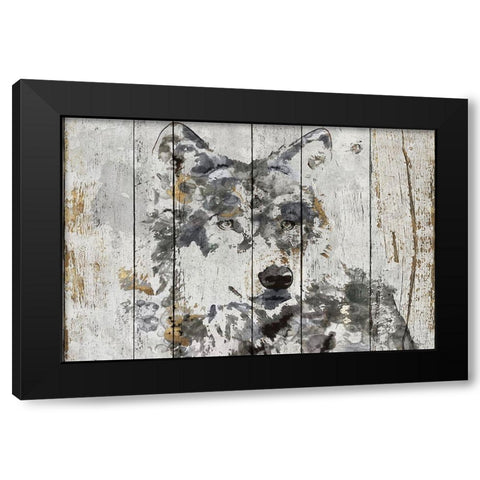 Wolf Gaze  Black Modern Wood Framed Art Print with Double Matting by Orlov, Irena
