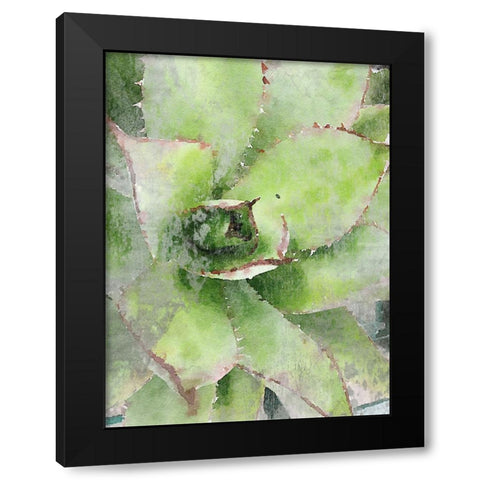 Rustic Green Succulent  Black Modern Wood Framed Art Print by Orlov, Irena