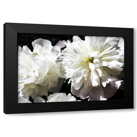 White Peony II  Black Modern Wood Framed Art Print with Double Matting by Orlov, Irena