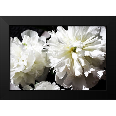 White Peony II  Black Modern Wood Framed Art Print by Orlov, Irena