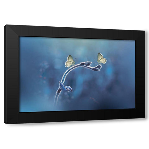 Priyadi-Two Butterflies Meet Each Other Black Modern Wood Framed Art Print by 1x