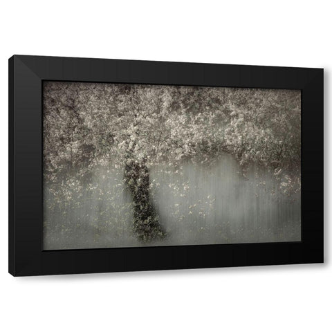 White Blossom Black Modern Wood Framed Art Print with Double Matting by Talen
