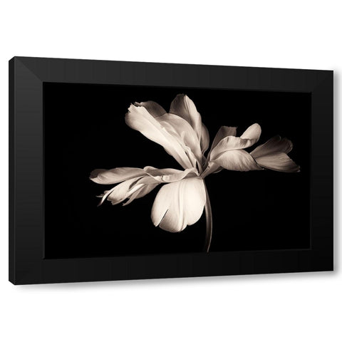 Untitled Black Modern Wood Framed Art Print by Myles