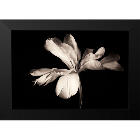 Untitled Black Modern Wood Framed Art Print by Myles