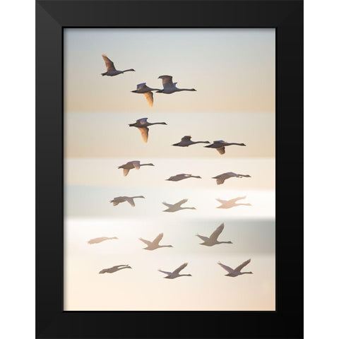 Past The Sun Black Modern Wood Framed Art Print by Londal