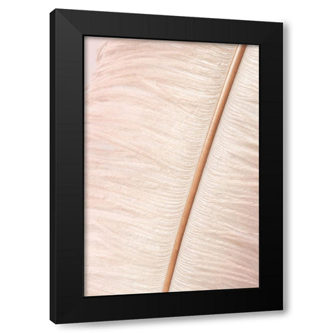 Feather Black Modern Wood Framed Art Print with Double Matting by Studio III