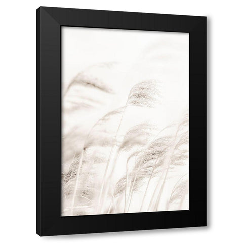 Reed Black Modern Wood Framed Art Print with Double Matting by Studio III