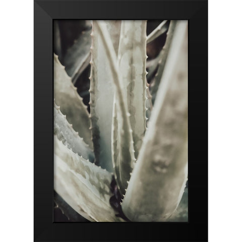 Studio III - Aloe 001 Black Modern Wood Framed Art Print by Studio III