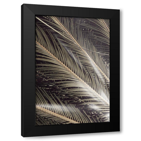Studio III - Palmblad 002 Black Modern Wood Framed Art Print by Studio III