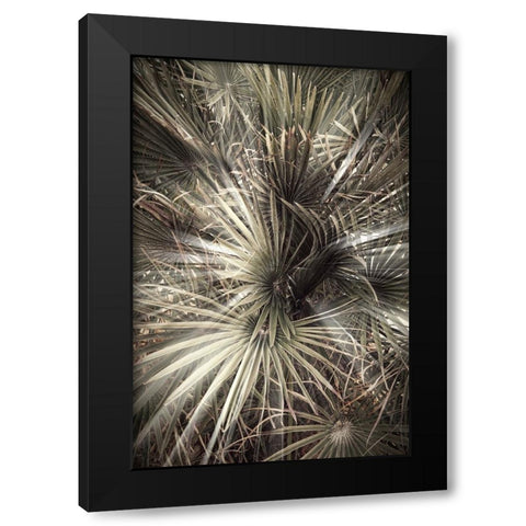 Studio III - Palmblad 006 Black Modern Wood Framed Art Print by Studio III