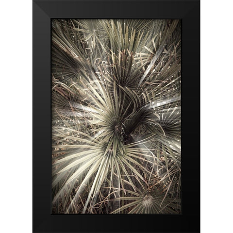 Studio III - Palmblad 006 Black Modern Wood Framed Art Print by Studio III