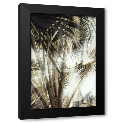 Studio III - Palmblad 003 Black Modern Wood Framed Art Print by Studio III