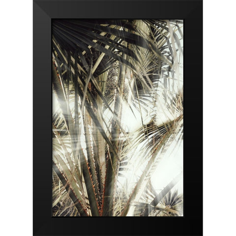 Studio III - Palmblad 003 Black Modern Wood Framed Art Print by Studio III