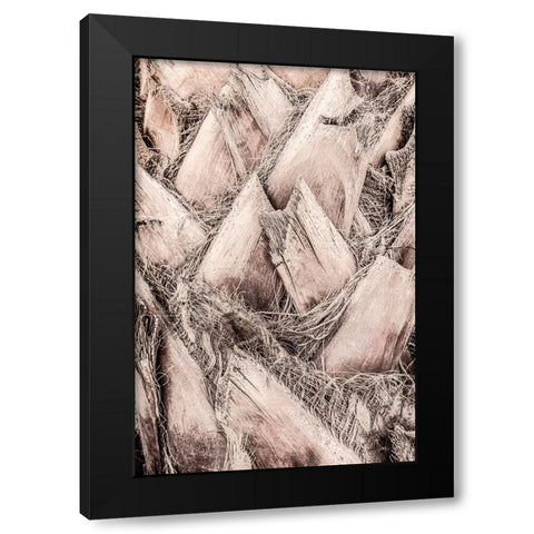Studio III - Solaris 07 Black Modern Wood Framed Art Print with Double Matting by Studio III