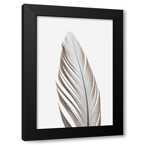 Studio III - Feather 003  Black Modern Wood Framed Art Print by Studio III