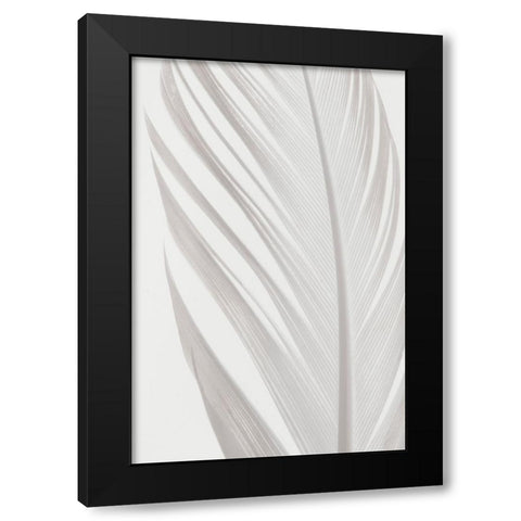 Studio III - Feather 006 Black Modern Wood Framed Art Print by Studio III