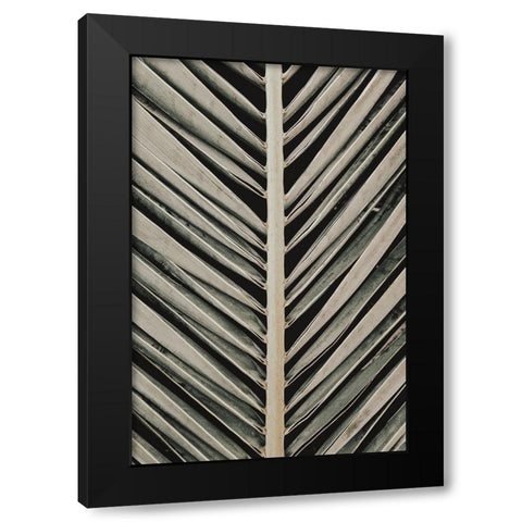 Studio III - Palmblad 005  Black Modern Wood Framed Art Print by Studio III