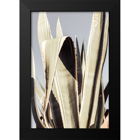 Studio III - Agave 001 Black Modern Wood Framed Art Print by Studio III