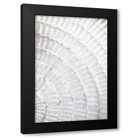 Studio III - Pattern Plate I  Black Modern Wood Framed Art Print with Double Matting by Studio III