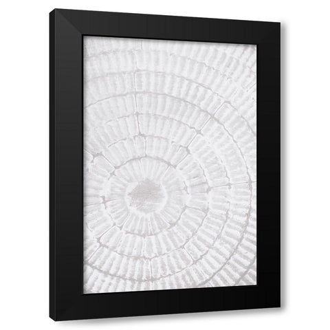 Studio III - Pattern Plate II  Black Modern Wood Framed Art Print with Double Matting by Studio III