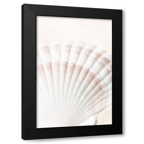 Studio III - Shell  Black Modern Wood Framed Art Print by Studio III